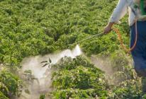 Применение и хранение пестицидов