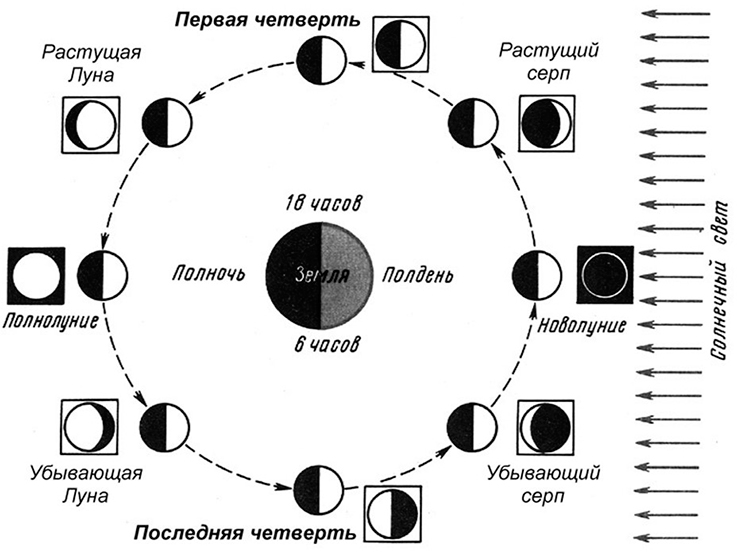 Фаза луны последняя четверть. Новолуние первая четверть полнолуние и последняя четверть. Первая четверть Луны схема. Фаза Луны между 1 четвертью и полнолунием. Лунная фаза первой четверти.