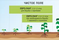Herbicidas Eurolighting ir jo reikšmė pasėliams