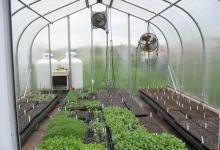 Homemade machine for ventilation of greenhouses and its installation